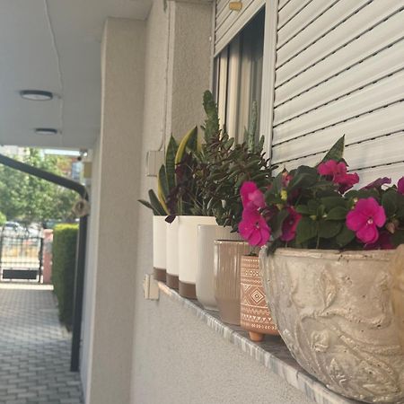 Vila Bolonja Struga Esterno foto