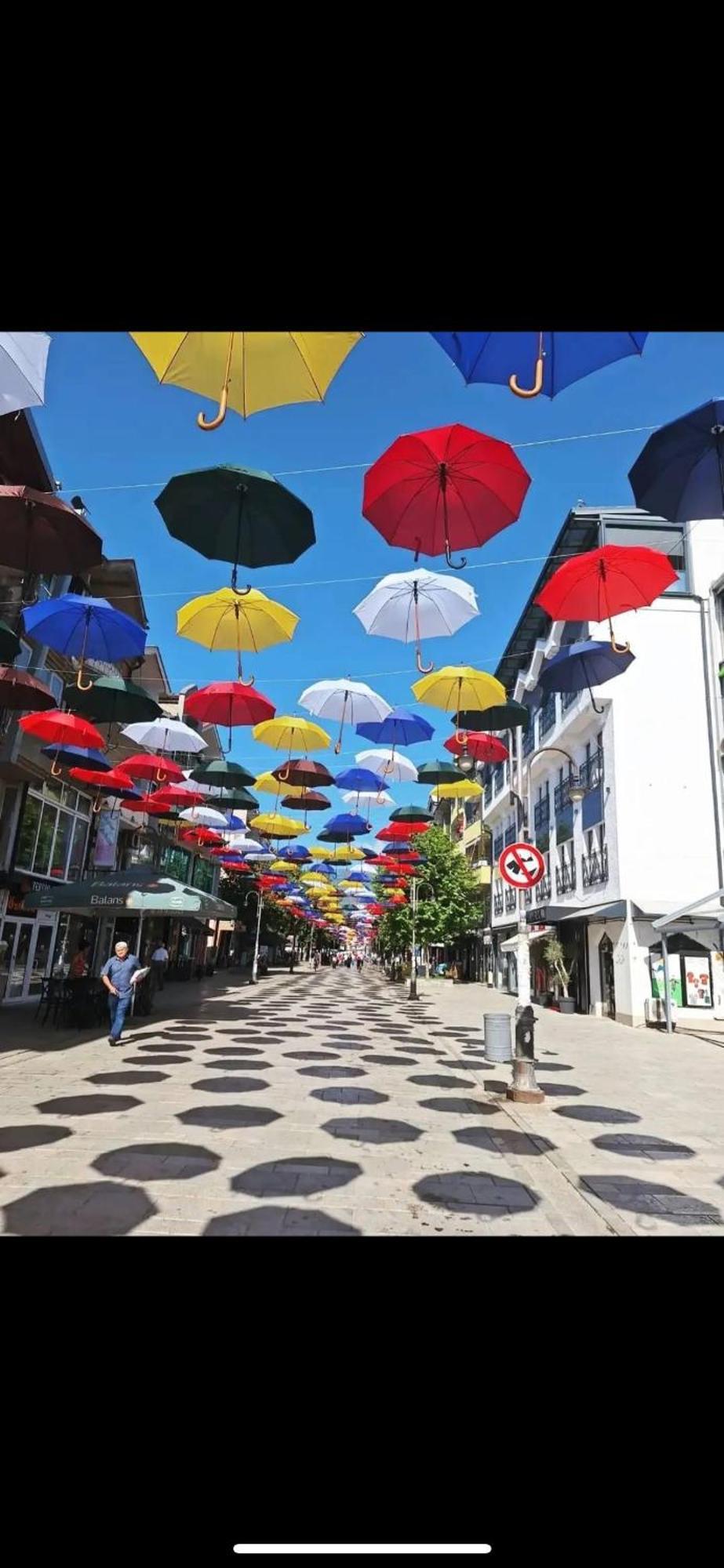 Vila Bolonja Struga Esterno foto